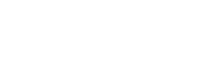 Dinizsoft